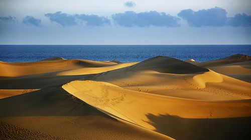 Desert's End